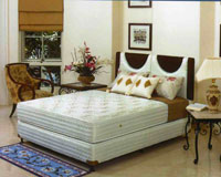  'Kasur Bosland' 